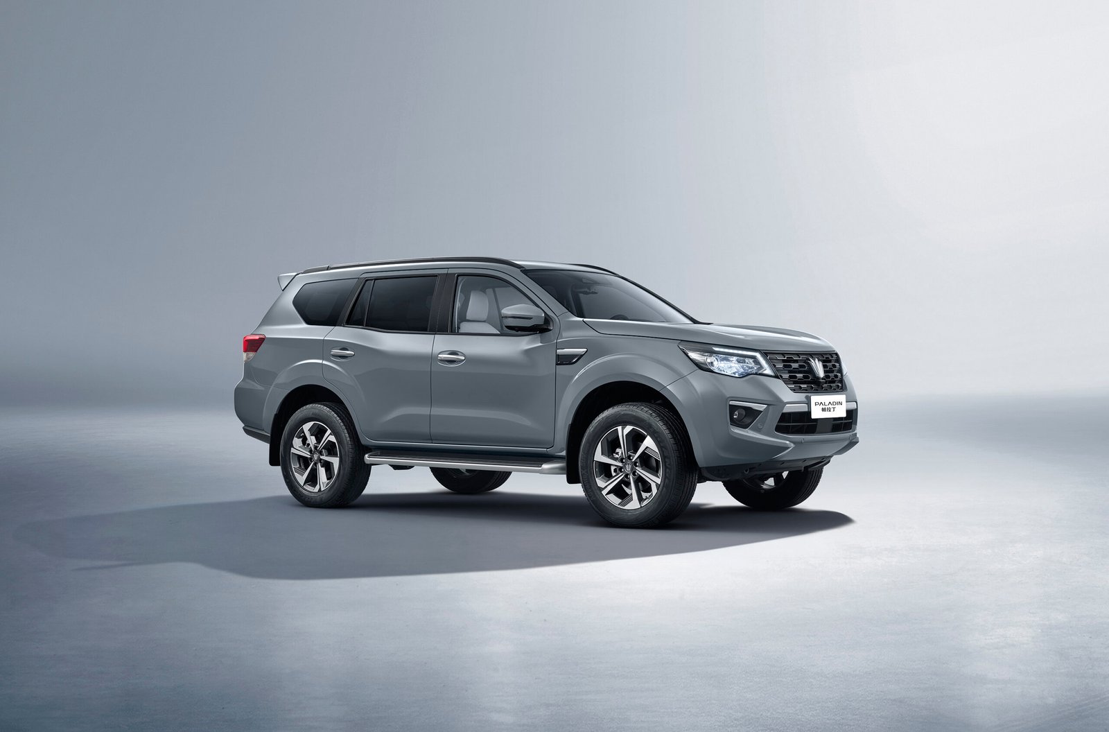 Dongfeng Paladin Image 6