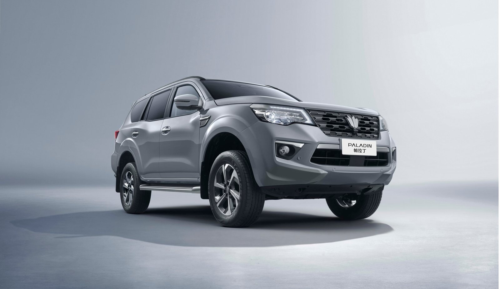 Dongfeng Paladin Image 2