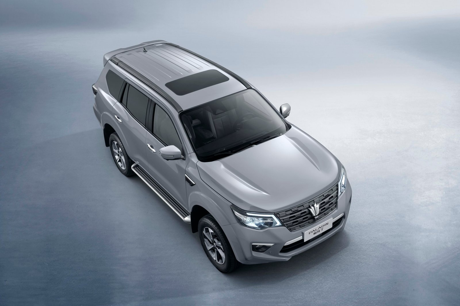 Dongfeng Paladin Image 3