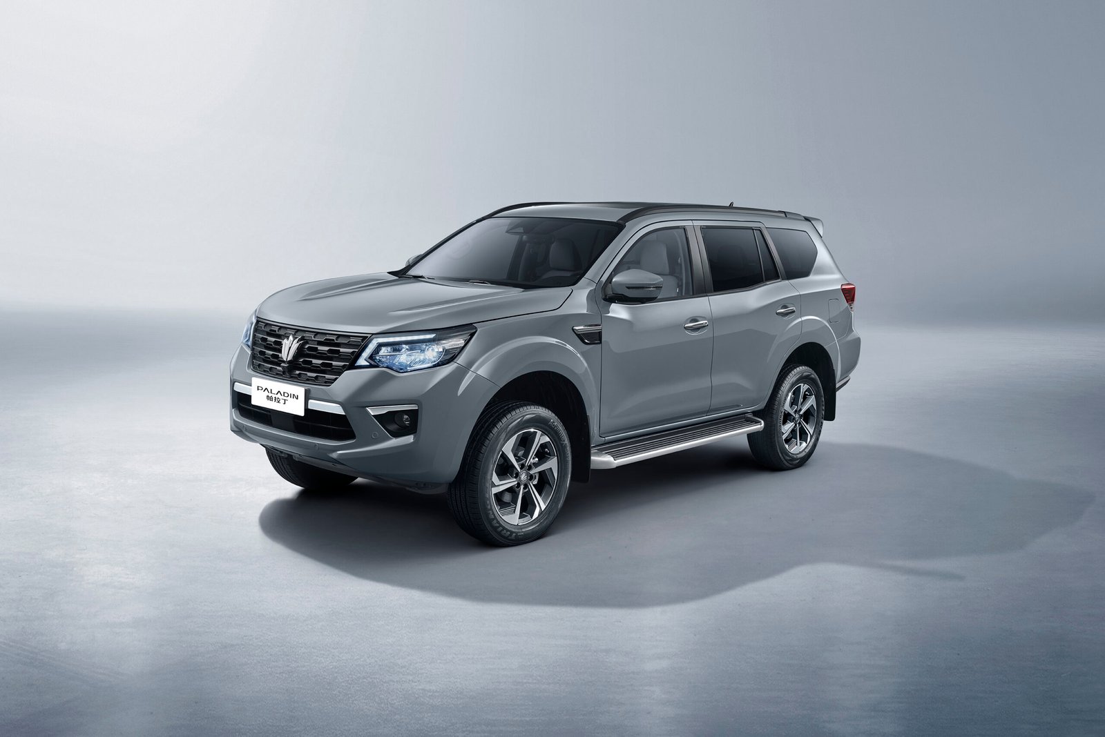 Dongfeng Paladin Image 5